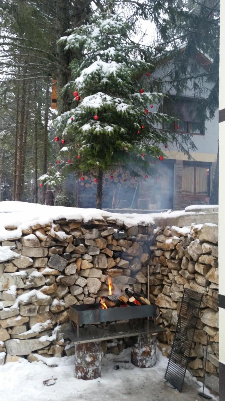 Berghof Eva - Hotel Panichishte Exterior photo